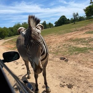 Meet your Posher, Kaysie